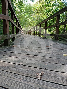 Bridge through nature