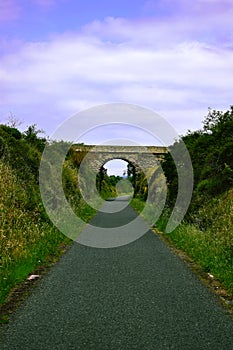 Bridge on nature road
