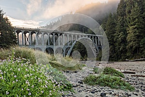 Bridge near Heceta Head Lighthouse, Oregon coast