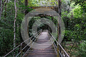 Bridge near Lumpee Waterfall in Souther Thailand