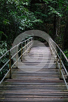 Bridge near Lumpee Waterfall in Souther Thailand