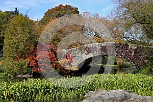 Bridge in New York`s Central Park