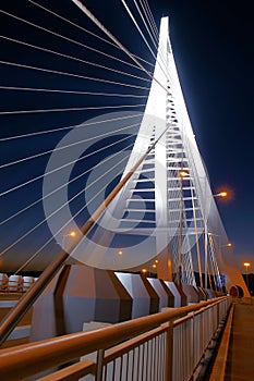 Bridge nocturne photo