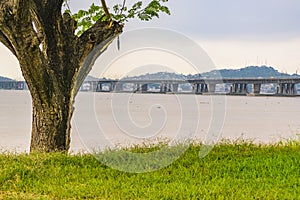 Bridge Over Babahayo River, Guayaquil, Ecuador photo