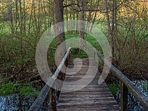 Bridge over Black Hancza river, Suwalski landscape park, Podlaskie, Poland.