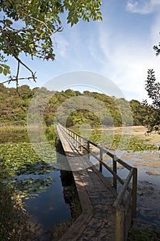 The Bridge over Bosherton Lakes in Wales