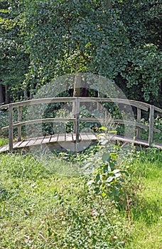 Bridge over a brook in a forest