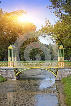 The bridge over the channel overgrown with a duckweed. Catherine Park. Pushkin Tsarskoye Selo. Petersburg
