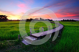 Bridge over the cornfield.