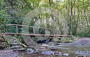 Bridge over Cove Creek