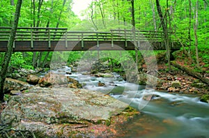 Bridge over Creek