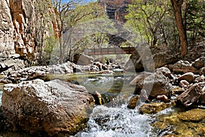 Bridge over the creek