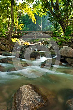 Bridge over the creek.