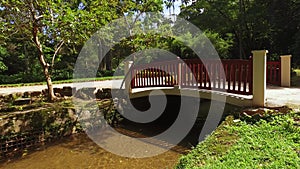 Bridge Over Creek in Lush of Botanical Garden, Rio De Janeiro, Brazil