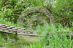 Bridge over creek