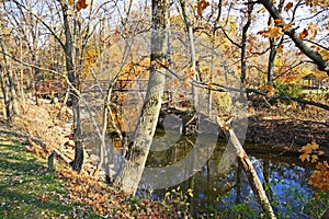 Bridge over deep river county park