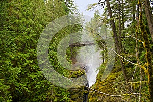 Bridge over Englishman River waterfalls in Vancouver Island, BC