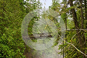 Bridge over Englishman River waterfalls in Vancouver Island, BC