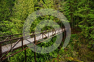 Bridge over Englishman River waterfalls in Vancouver Island, BC