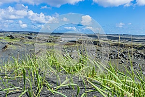 Bridge over the Eurasian Plate on Iceland with green grass