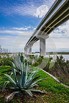 Bridge over the Intra-coastal Waterway photo