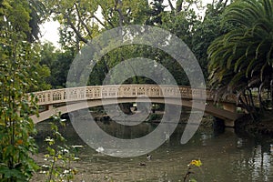 Bridge over the lake