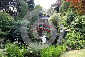 Bridge over a lake in a Chinese Garden