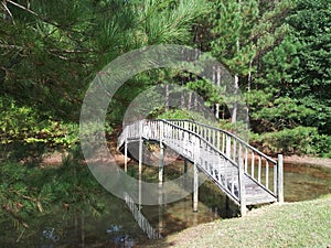 Bridge over lake in country