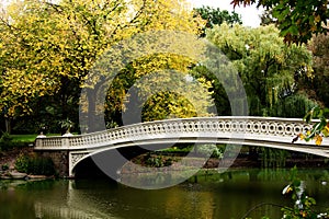 Bridge over lake in fall scenery