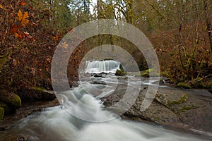 Bridge Over McDowell Creek Falls