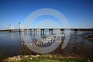 Bridge Over Mississippi River