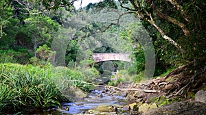 Bridge Over a Mountain Stream