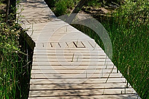 Bridge Over Penasquitos Creek in San Diego