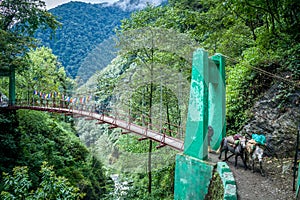 The bridge over Pha Khola, Sikkim, India