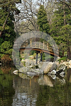 Bridge over the pond