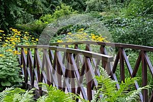 Bridge over pond in the Botanic Garden of the Jagiellonian University, Krakow, Poland.