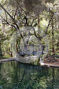 Bridge over Reflecting Pond