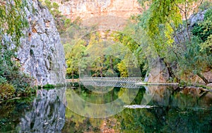 Bridge over the reflexes lake