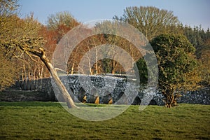 Bridge over river Boyne. Bective Abbey. Trim. county Meath. Ireland