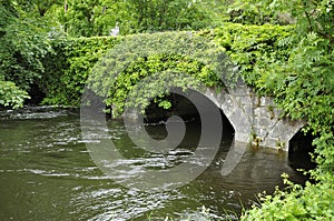 Bridge over River Fergus