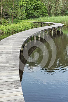 Bridge over river in forest