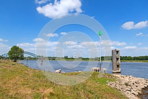 Bridge over river the IJssel in Holland