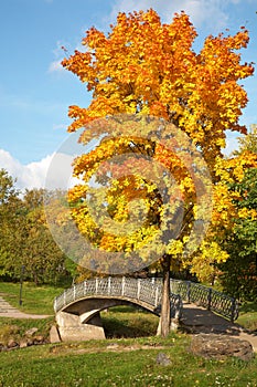Bridge over the river Lososinka