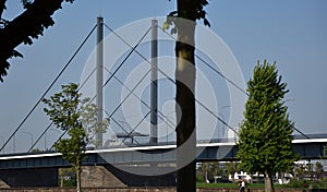 Bridge over the River Rhine, Duesseldorf, North Rhine - Westphalia