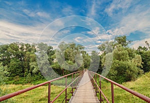 Bridge over a river in the summer forest