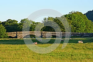 Bridge over River Wharfe at Conistone in Evening Sunlight, Wharfedale, Yorkshire Dales, England, UK