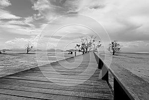 Bridge over the sea during ebb tide in black and white