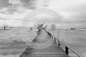 Bridge over the sea during ebb tide in black and white