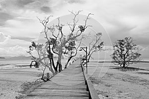 Bridge over the sea during ebb tide in black and white