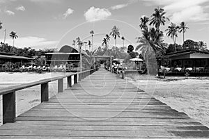 Bridge over the sea during ebb tide in black and white